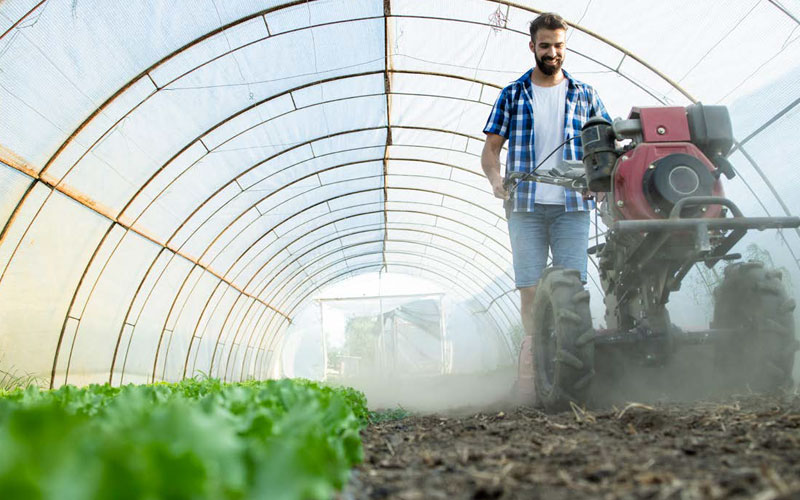 Agribusiness Masterclass: Essentials & Investment (Online Training) -  Informa Connect Middle East